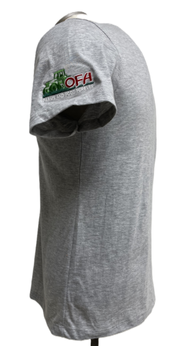 Women's Softstyle® V-Neck T-Shirt - 64V00L Sport Grey