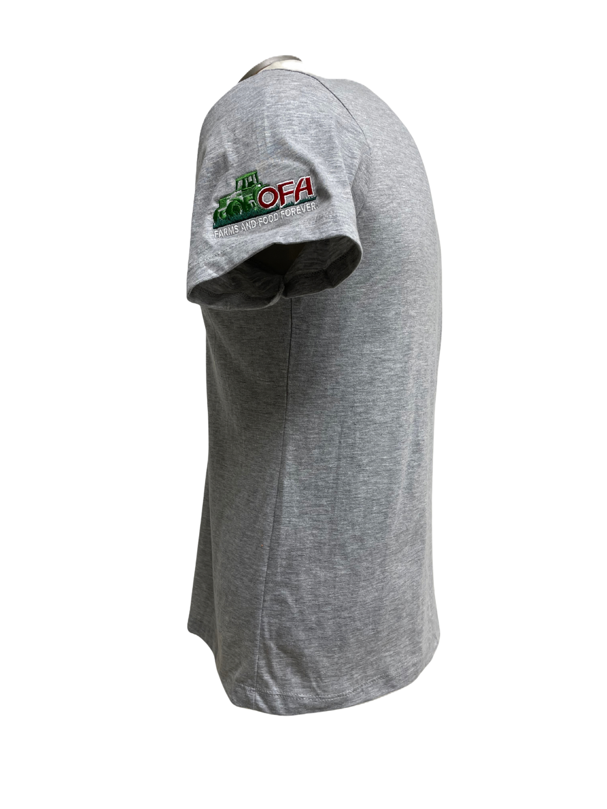 Women's Softstyle® V-Neck T-Shirt - 64V00L Sport Grey